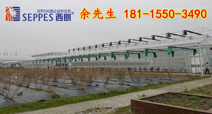 上海青浦——蔬菜大棚快速门2020.03 (9)_副本_副本.jpg